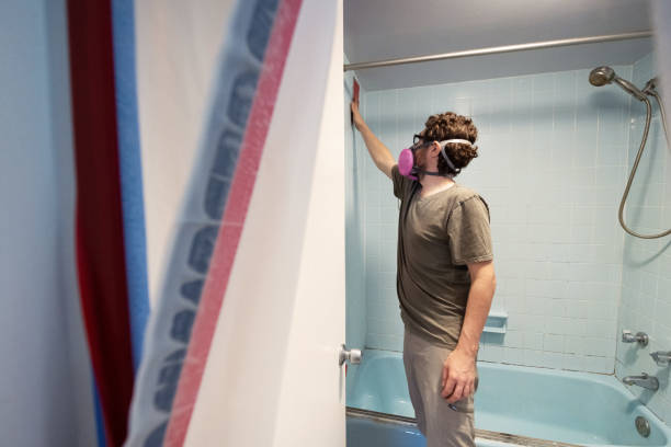 Dehumidification Services in Okemos, MI